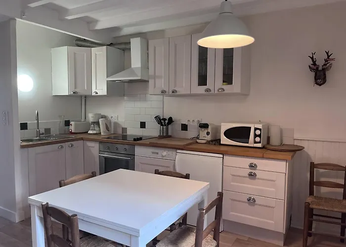 Avec Cheminee A - Animaux Admis, Parking Et Terrasse - Fr-1-812-18 Апартаменты Котре